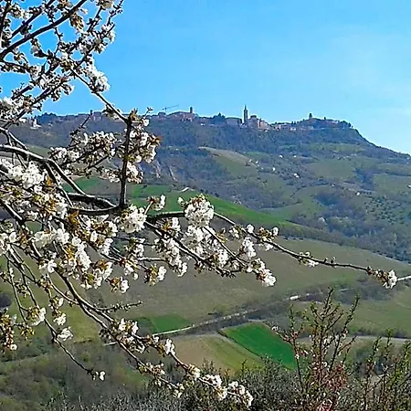 Bed & Breakfast Il Podere Del Nonno Ripatransone