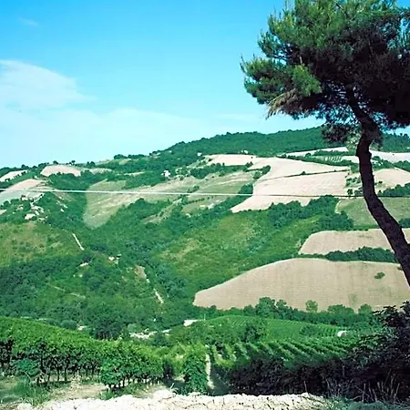 Il Podere Del Nonno 3* Ripatransone
