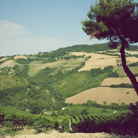 فندق مبيت وإفطار Il Podere Del Nonno 3*