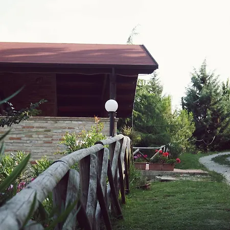 فندق مبيت وإفطار Il Podere Del Nonno 3*