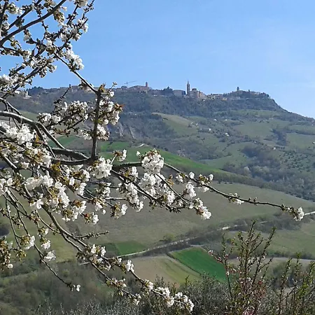 Il Podere Del Nonno 3* ريباترانسوني